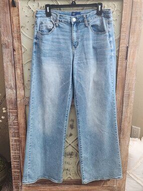 Project Indigo High Rise Wide Leg Medium Wash Denim Jeans | Size 13